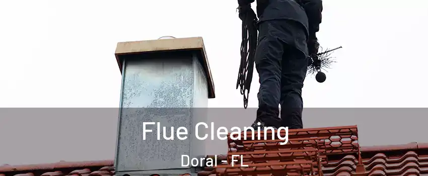  Flue Cleaning Doral - FL